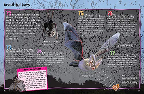 100 Facts Nocturnal Animals