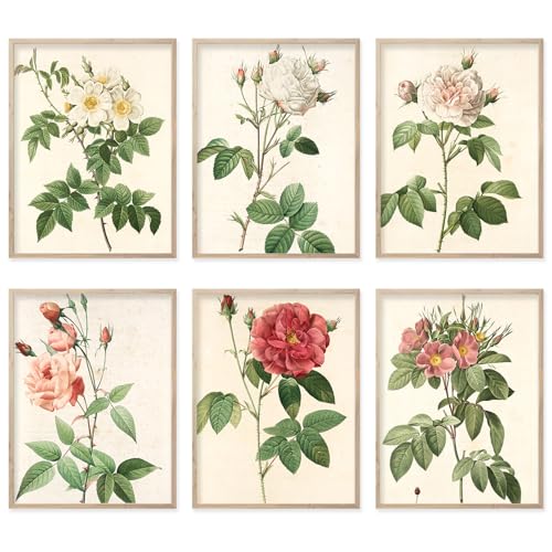 Botanical Prints - Póster de lienzo vintage con estampado floral para pared, dormitorio, sala de estar, hogar u oficina,florales minimalistas estéticas 11x14 pulgadas, sin marco