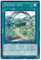 遊戯王OCG アロマ 遊戯王OCG』アロマ、RRの新規カード多数発表！『マスター