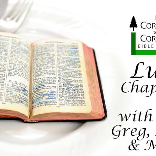 The Gospel According to Luke Chapter 6