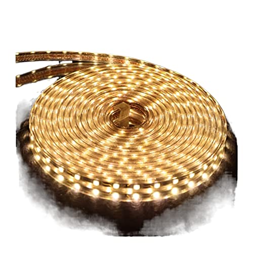 TVOLRFNIY SMD 5050 AC 220 V LED Strip Buiten Waterdicht 220V 5050 220V LED Strip 220V SMD 5050 LED Strip 1M 2M 5M 10M 20M 25M 220V (Kleur: Warm Wit, Maat: 1M)