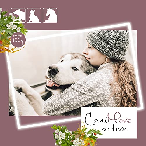 CaniMove Active Maxi (100 Tabletten) mit 10 Heilkräuter-Extrakten für Bewegungsfreude und Tierwohl (100 Tabletten)