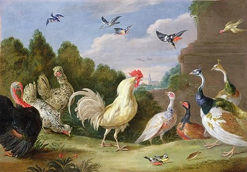Impression Toile Jan Van Kessel Chef-d'œuvre Peinture Oiseaux Décoration Premium