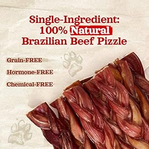 Natural Farm Odor-Free Braided Bully Sticks (6 Inch, 10 Pack) – 100% Grass-Fed Beef, Grain-Free, Low Fat & Fully Digestible Dental Treats – Safest Long Lasting Pizzle Chews to Keep Your Dog Busy