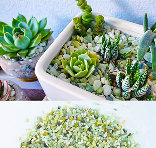 Image of 7lb Jade Bean Pebbles,1 /4 Inch Cactus Bonsai DIY Rocks, Natural Succulent Rock and River Rocks Decorative for Aquariums, Vases, Terrarium, Outdoor Gardening, Top Dressing for Potted Plants