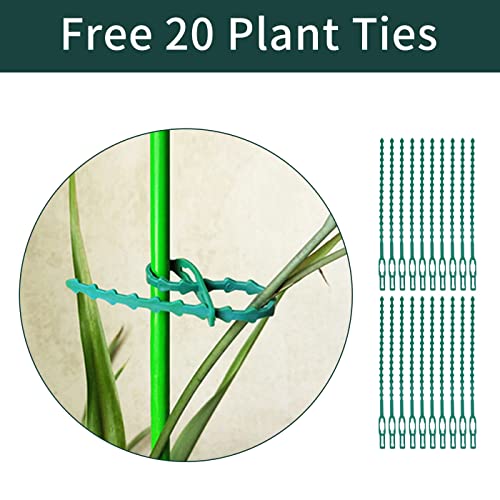 10 Pack Plant Support Stakes, 10" W X 16" H Peony Support Cage, Half Round Metal Garden Plant Stake, Plant Support Ring For Tomato/Vine/Indoor Potted Plants/Climbing Plants #TOP5
