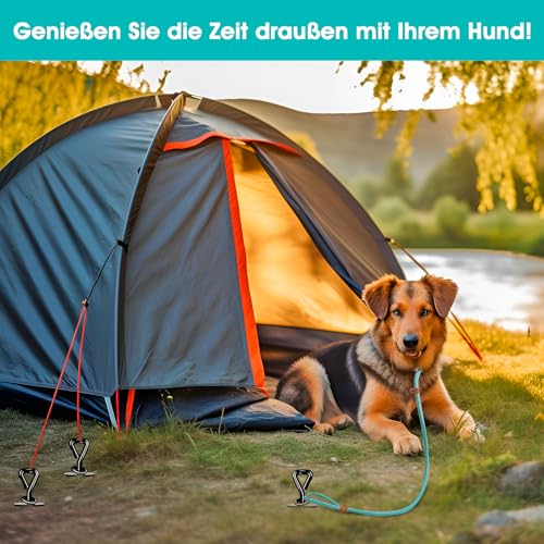 Bodenanker Hund, ø 12mm Spiralklinge Anlegepflock für Hunde bis zu 220 lbs, Erdanker Hund Mittlere Oder Große für Camping, Strand, Rasen und Hof