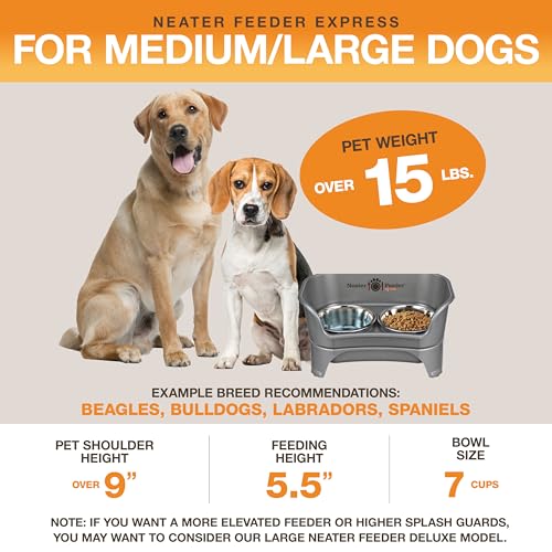 Neater Feeder Express Mess Proof Dog Bowls Elevated for Medium to Large Sized Breed, No Spill Raised Dog Food Bowl Stand, Stainless Steel Food and Water Bowl Set, Pet Dish Feeding Station, Grey - Image 6