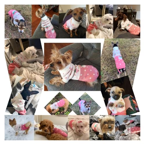 CHBORCHICEN Pet Dog Sweaters Classic Knitwear Turtleneck Winter Warm Puppy Clothing Cute Strawberry and Heart Doggie Sweater (Pink, Medium) - Image 7