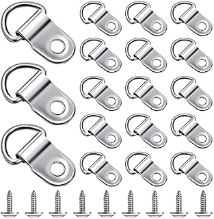Thinp 20 Sets D Rings for Picture Hanging, Picture Hanging Hooks Metal D Ring Picture Hangers Picture Hanging Kit Canvas Hook with Screws for Picture Photo Frame Hanging Home Decoration (Silver)