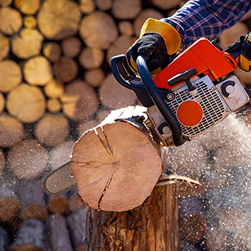 Workpro 2-Pack Chainsaw Chain For 16-Inch Bar, 3/8"Pitch, 56 Drive Links Wood Cutting Saw Chain For Chainsaw Parts Fits Craftsman, Poulan, Echo, Dewalt #TOP4