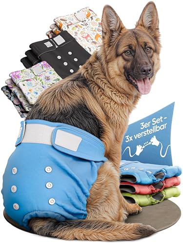 HUND IST KÖNIG Hundewindeln für Hündinnen (3 Stück) - Hochabsorbierende Läufigkeitshose für Hündinnen mit 3-Fach Justierung - Umweltfreundliche Hunde Windeln, Hundehöschen Läufigkeit & Inkontinenz HUND IST KÖNIG Hundewindeln für Hündinnen (3 Stück) - Hochabsorbierende Läufigkeitshose für Hündinnen mit 3-Fach Justierung - Umweltfreundliche Hunde Windeln, Hundehöschen Läufigkeit & Inkontinenz