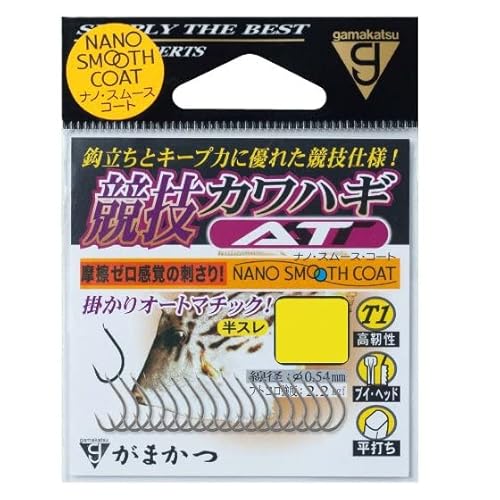 ܂ T1 ZJnM ATi10܁j (4.5)