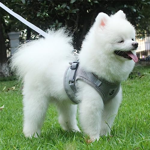 LOS ANDES Hundegeschirr & Katzengeschirr, Reflektierend, Weich Gepolstert, Air-Mesh Brustgeschirr für Kleine Hunde & Katzen, XS (Brust: 24-27cm), Grau, Gestreift
