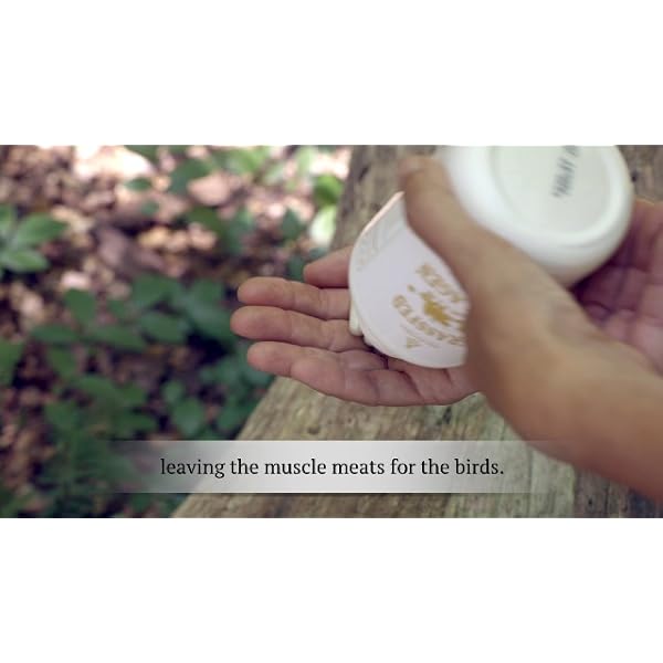 Ancestral-Supplements-Grass-Fed-Living-CollagenSupports-Joints-Marrow-Bones-Cartilage-Skin-Hair-Nails-180-Capsules Ancestral Supplements Grass Fed Beef Living Collagen Nutritional Powder Supplement, 3000mg, Promotes Healthier, Younger Looking Skin, Hair, Nails and Joints, Types I,II,III,V, and X, 180 Capsules