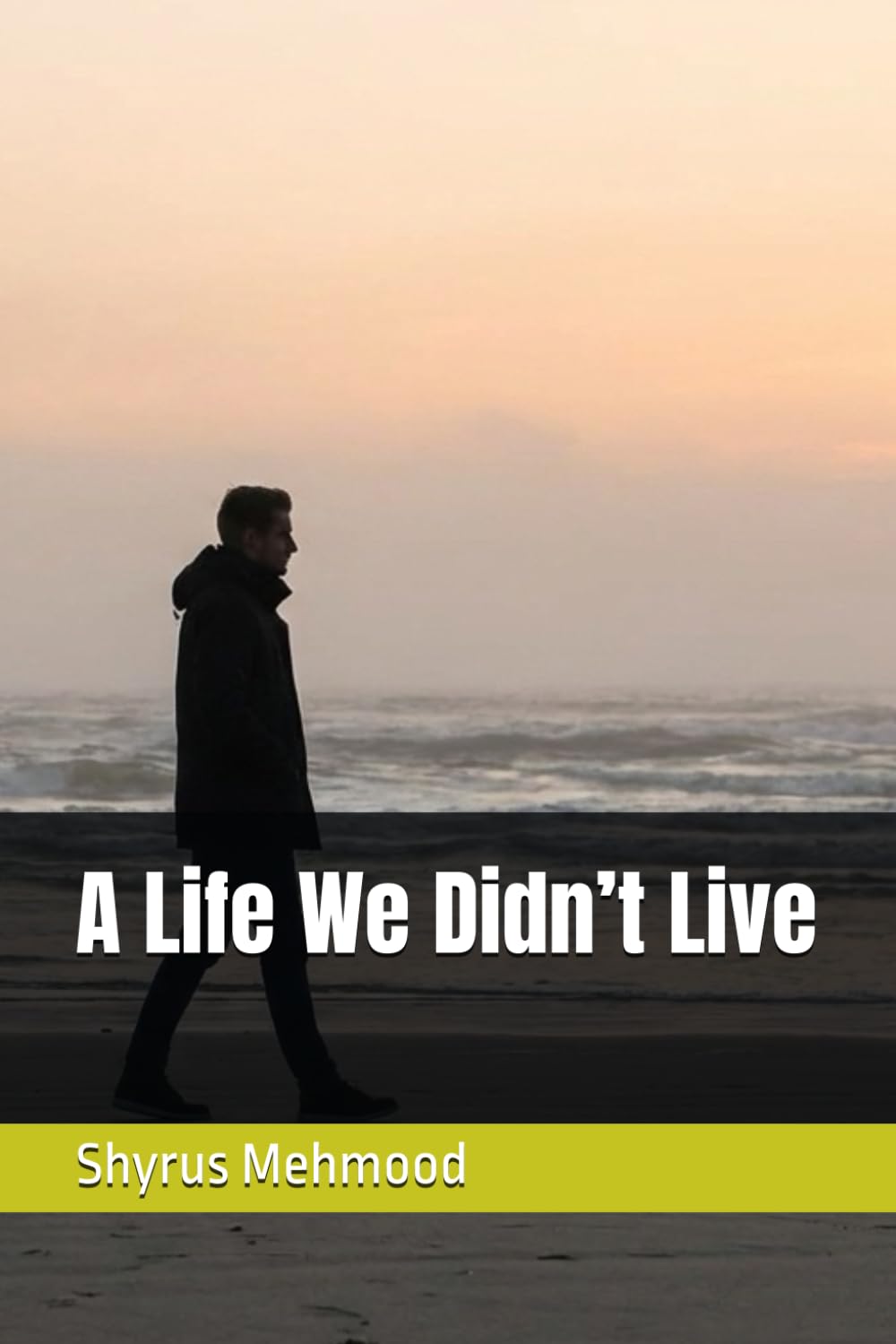 A Life We Didn’t Live