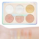 Professional Makeup Highlight & Contour Pro Palette, Puder Konturen Kit, 6 verblendbare Matte und Perlmutttöne-Glitter