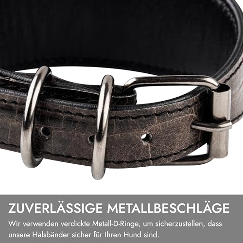 FAVPET Luxus Echtleder Windhund Halsband Breit mit QR Code Anhänger, Weiches Lederhalsband Hund Breit Whippet Italienisches Windspiel Saluki Lurcher Spanischer Galgo Greyhound Podenco (Grau, XS)