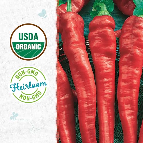Back to The Roots 100% Organic Seed Packet - Chili Pepper 'Cayenne Thin' 140mg - Image 2