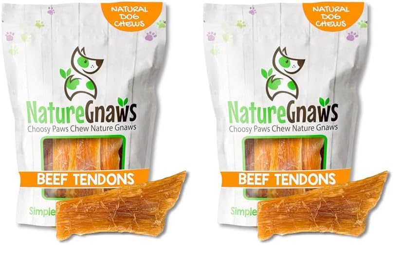 Nature Gnaws Beef Paddywack Tendons for Dogs 5-6" (10 Count) - Long Lasting for Aggressive Chewers - Natural Beef Dog Chew Bones - Rawhide Free (Pack of 2)