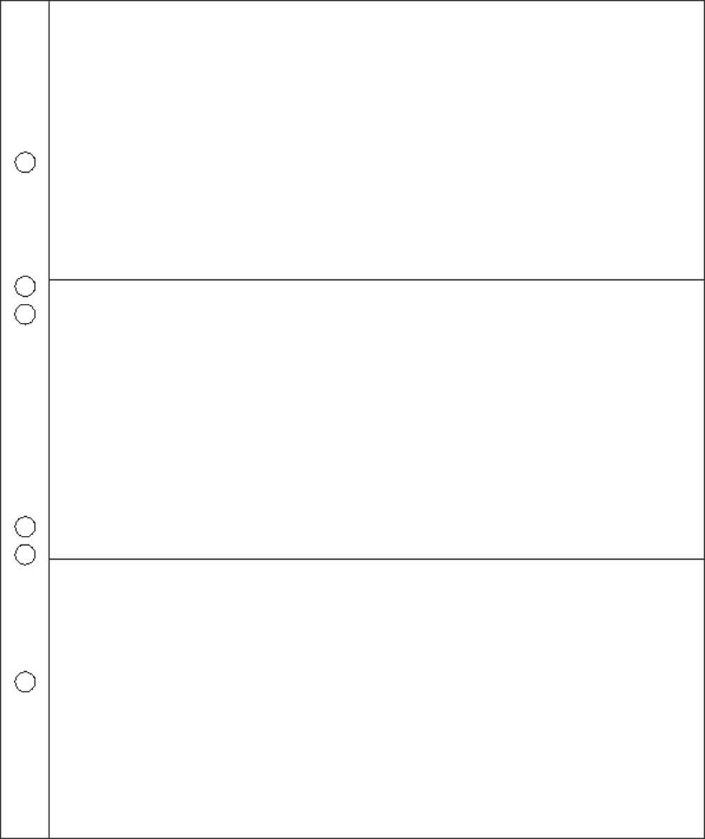 Prophila Collection 20 Banknote Sleeves 3-Part for 3 Banknotes up to approx. 180 x 80 mm