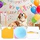 lasuroa 12 Stück Mini Partyhüte für Stofftiere, Kegelförmige Kleine Geburtstagshüte in Mehrfarben Winzige Geburtstagsdekoration für Hunde Katzen und Verschiedene Tieraccessoires