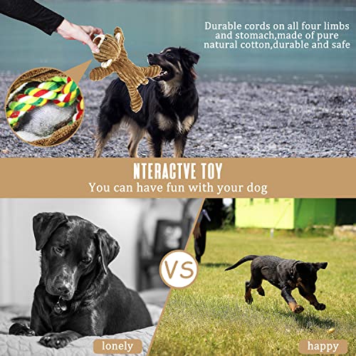 Hundespielzeug Welpenspielzeug, Tauziehen Plüsch quietschendes mit Crinkle-Papier und Hundeseil, Robust Hundekauspielzeug für Welpen, kleine, mittlere, große Hunde (Bär)