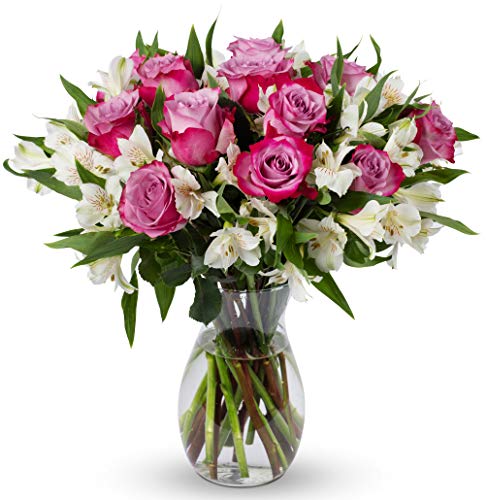 Benchmark Bouquets - Delightful Roses & Alstroemeria (Glass Vase Included) - Fresh Flowers for...
