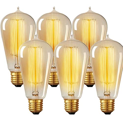 Hudson Bulb Co. Vintage Incandescent Edison Light...
