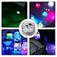 Editbar 12 Stück Mini LED Lichter Wasserdicht - Unterwasser Lichter für Aquarium, Fischbecken, Badewanne Pool & Party, LED Kerzen Teelichter mit IP65, Mehrere Farben Verfügbar und Timer-Funktion
