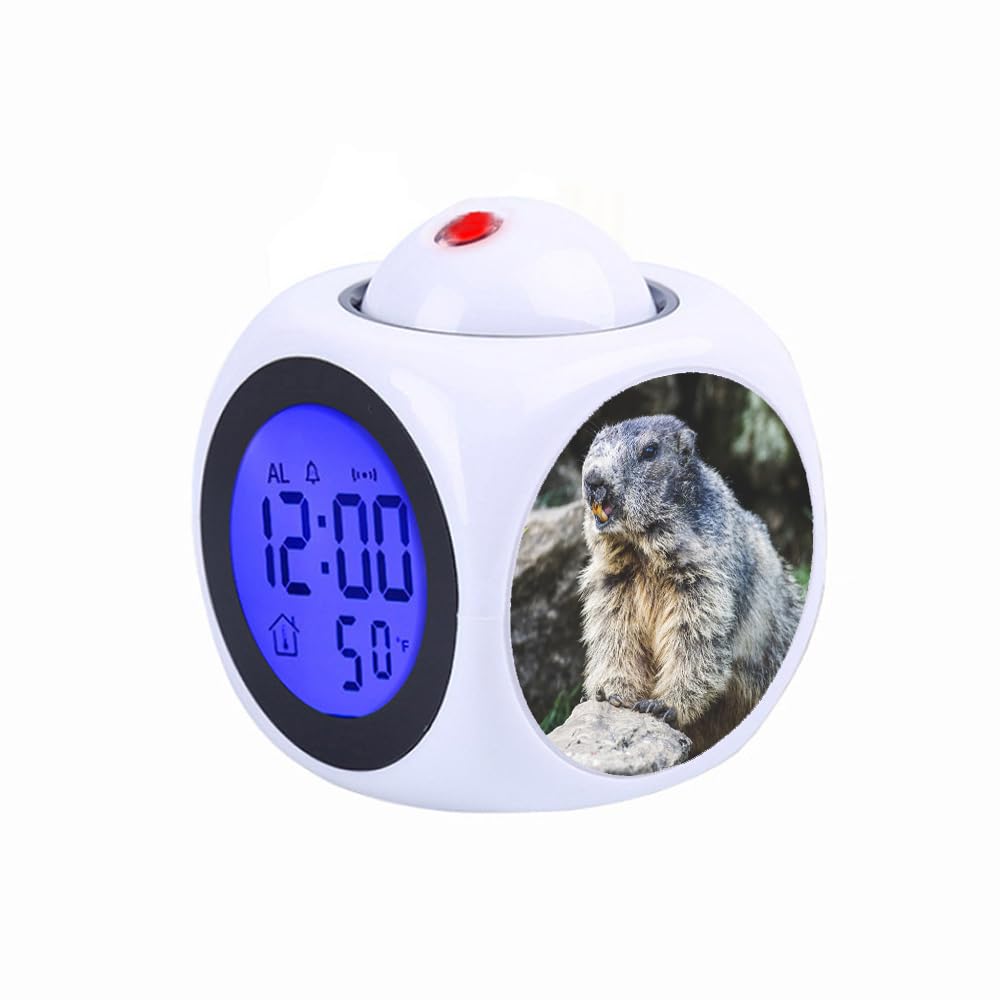 Réveil Numérique Pour Enfants Avec Veilleuse Snooze Timer Température