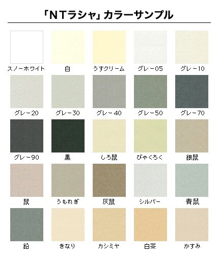 Amazon | 紙通販ダイゲン NTラシャ 4切判/20枚 若葉 031661_56 | 色