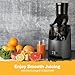 Kuvings EVO820GMS Whole Slow Juicer - Cold Press Juicer with a 5th Gen O-shaped Flip Gate and a 3.2 inch (82 mm) Food Chute - Juice, Smoothie, Ice Cream and Sorbet Maker - Leather Finish - Gun Metal