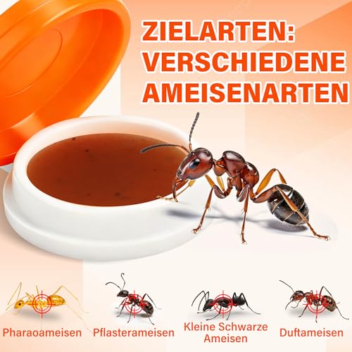 Puciuua 80 Stück Ameisen Monitoring Köder für für Haus und Garten, Sauber und Einfach Anzuwenden, Hinterlässt Keine Spuren