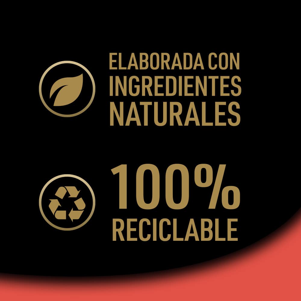 Cesar Nourriture Humide pour Chiens, sélection de Classiques en pâté, Multipack (Lot de 3 x 8 Pots x 150 g)