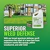 Albaugh Sublime Weed Killer, Unrivaled Defense Against Crabgrass, Creeping Charlie, Dandelions & More, Non-Bleaching Formula, Fast-Acting, Commerical & Residential, 1 Gallon