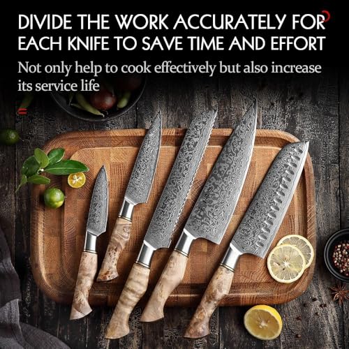 Set Cuchillos Cocina 5 Piezas Acero Inox Base miniatura 5