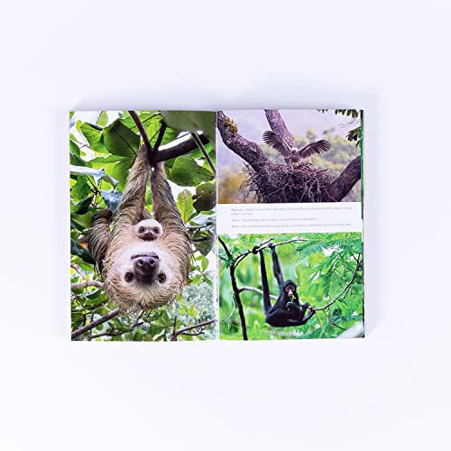 Living Planet: The Web of Life on Earth - Image 7