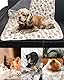SCJJZ 2 Stück Katzendecke,Katzendecke Für Katzen, Kuscheldecke Hund Waschbar Und Flauschig Weiche Und Warme Decken Haustiere für Kleine Mittlere Hunde Katzen Haustierdecke Schlafmatte, 40X60 cm
