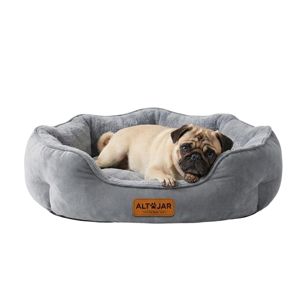 Al Tajar Dog Sofa Bed, Washable Dog Bed Sofa and Couch with Removable Flannel Cover, Anti-Anxiety Calming Soft Plush Pet Bed with Sides and Non-Slip Bottom for Small Medium Dogs 76x60cm (Dog Sofa Bed)