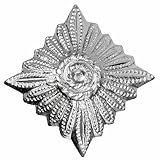 NVA