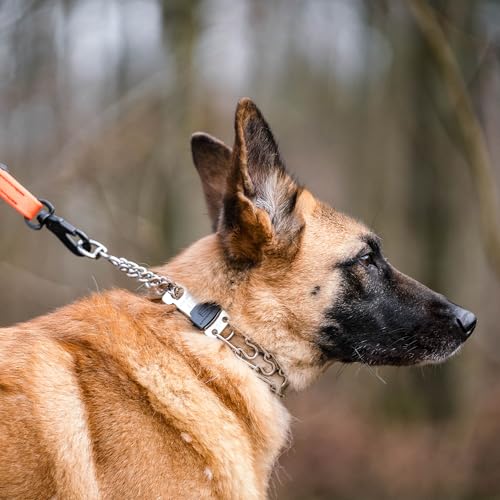 Image of Herm Sprenger Stainless Steel Dog Collar with Short Links and Quick Release ClicLock Buckle Made in Germany (Stainless Steel, 20in x 3.0mm (Neck Size up to 16-17in))