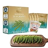 Premium Dehydrated Sea Grapes with Dipping Sauce (5.29oz of 6 Packs) – Organic Green Caviar Seaweed Snack for Sushi & Salads | Vegan, Keto, Gluten-Free Umibudo Lato | TikTok Viral Food