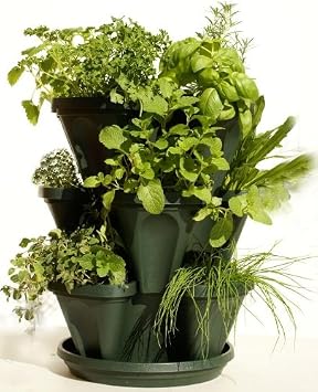 Mr. Stacky 3 Tiered Hunter Green Stackable Indoor Outdoor Vertical Herb Planter 1303