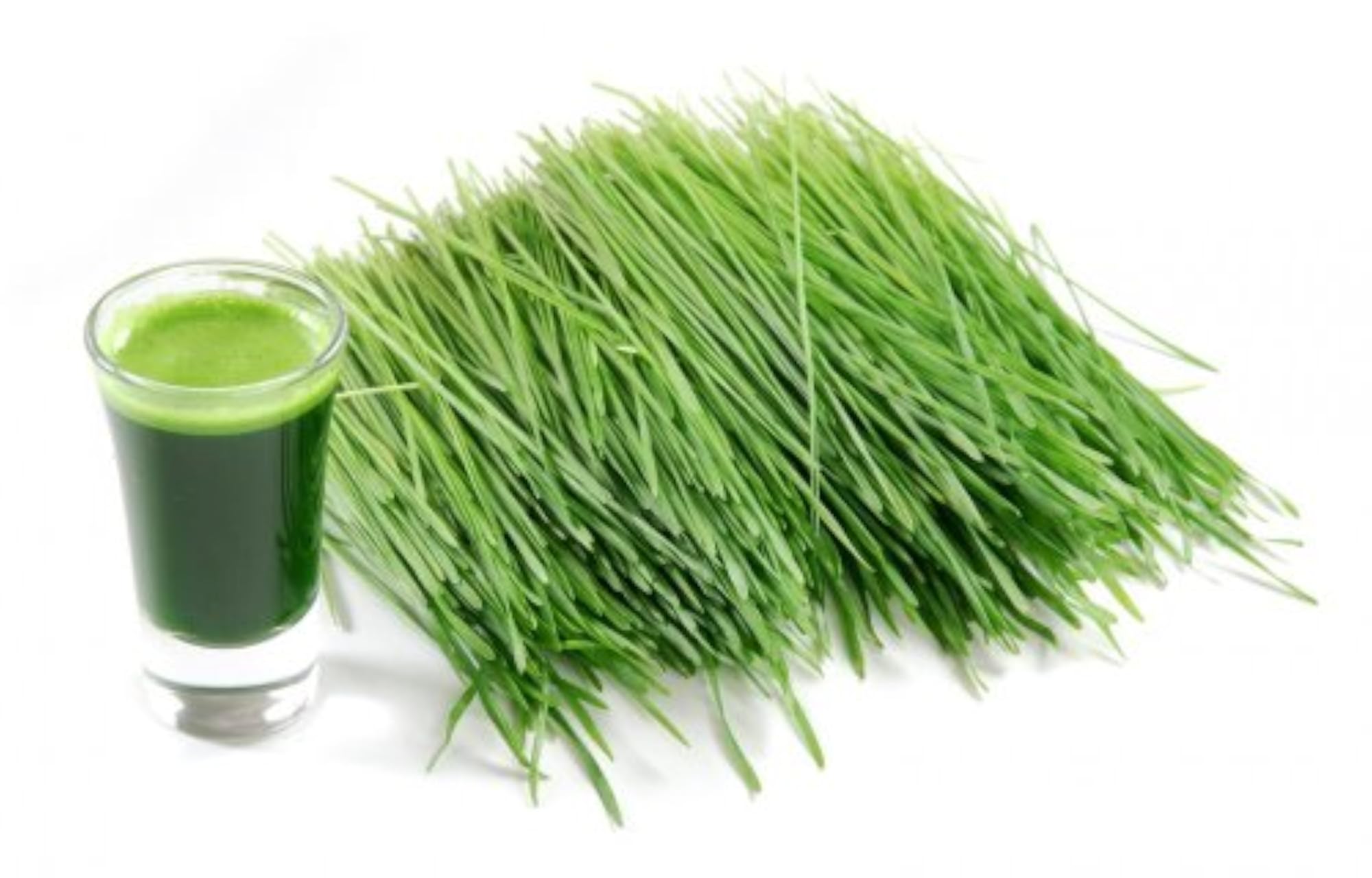 Wheatgrass Powder, Natural Superfood Supplement