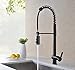 Avola Oil Rubbed Bronze Lead Free Solid Brass Kitchen Sink Mixer Faucet, High Arc Swivel Spring Spout with Dual Function Pull Out and Down Sprayer