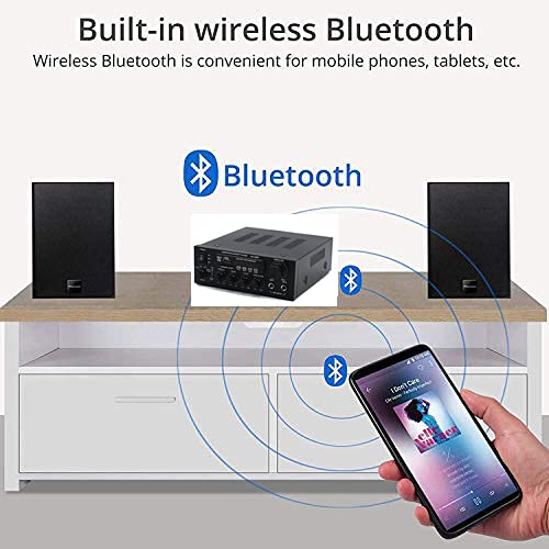 Mini Bluetooth Amplificador Audio, 600W HiFi de 2.0 Canales Audio Stereo Music Reproductor, SD Card/USB Input/FM Radio, para PC, TV, Amplificador Coche, casa Altavoz, subwoofer BT 12v 220V (1200W)