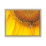 Tableau encadré et prêt à être accroché avec kit de suspension facile (y compris fixation en fer et vis).