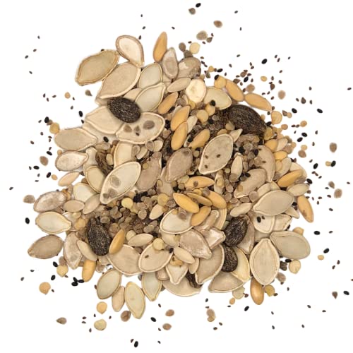 Organic Summer Vegetable Garden Seeds Variety Pack- Non-Gmo Usda Certified Organic Open Pollinated Heirloom Usa Seed Packets #TOP5