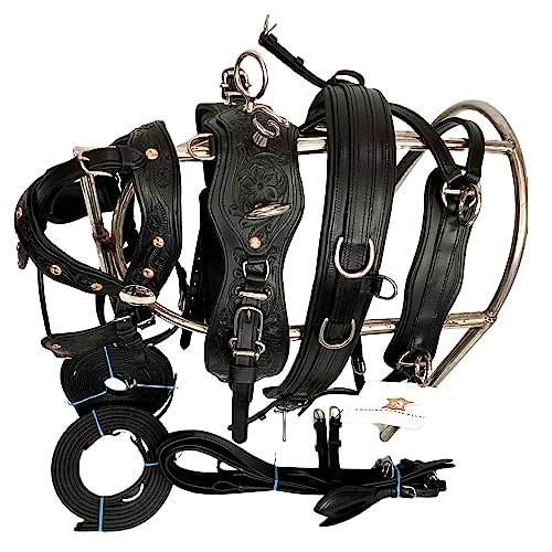 Antique Horse Driving Harness Made of Leather That has Been Tooled and Carved and has Copper Studs. (Cob, Black)